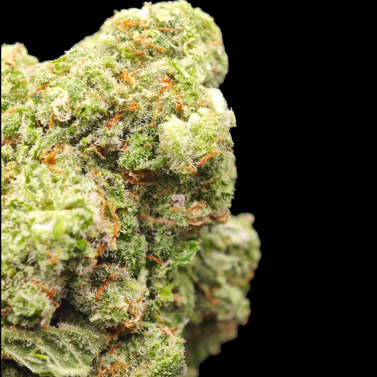 Cali Dream 19% CBD <0.2%THC Loose Hemp Tea - H Town Hemp