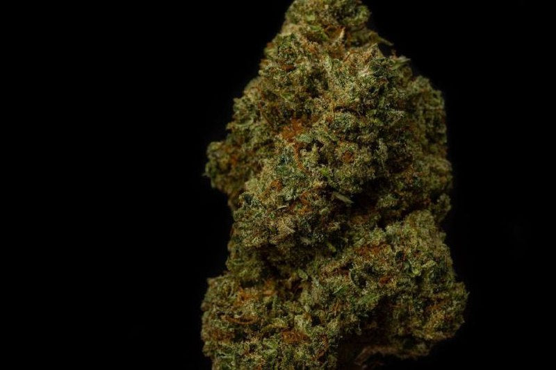 Stardawg 20% CBD <0.2% THC Loose Hemp Tea - H Town Hemp