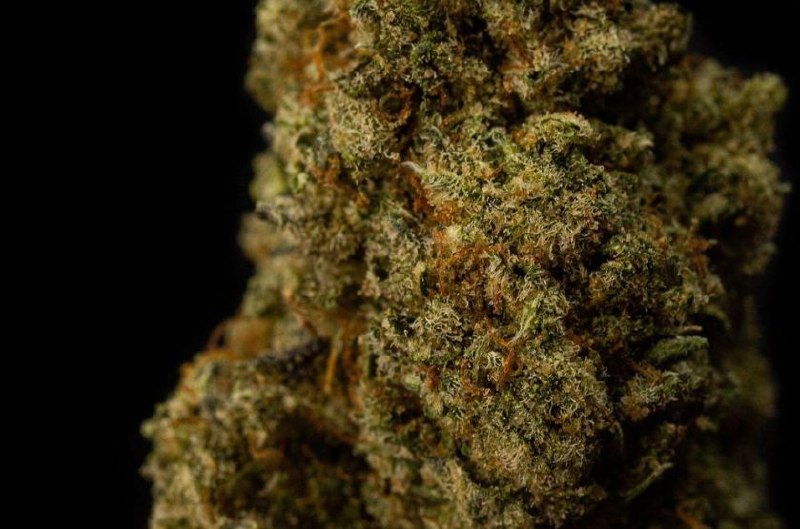 OG Kush 18% CBD <0.2%THC Loose Hemp Tea - H Town Hemp