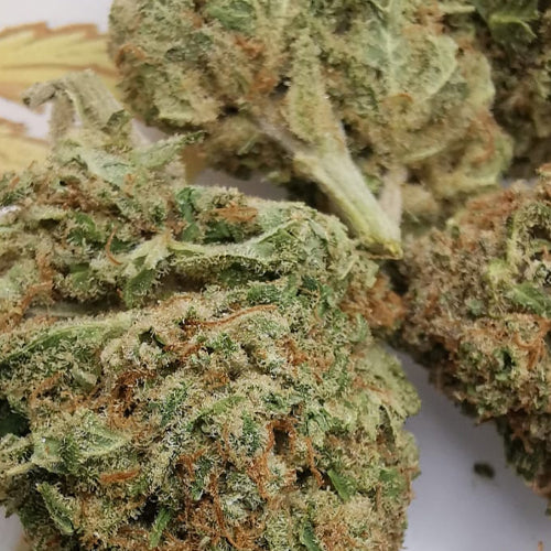 Cannatonic 7% CBD <0.2% THC Loose Hemp Tea (EOB) - H Town Hemp