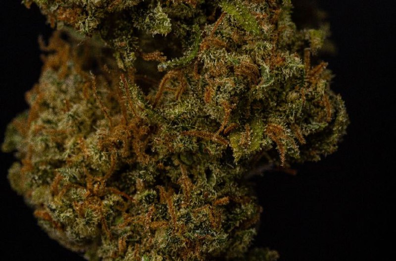 Sherlato 13% CBD <0.2%THC loose hemp tea - H Town Hemp