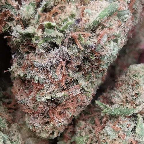 Cannatonic 7% CBD <0.2% THC Loose Hemp Tea (EOB) - H Town Hemp