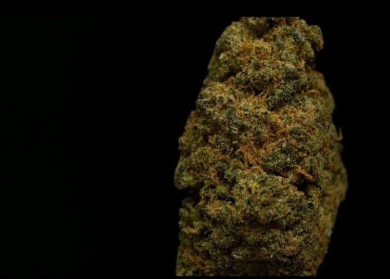 Cookie Kush 13.9% CBD <0.2%THC loose hemp tea - H Town Hemp