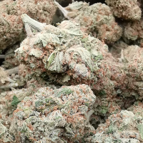 Cannatonic 7% CBD <0.2% THC Loose Hemp Tea (EOB) - H Town Hemp