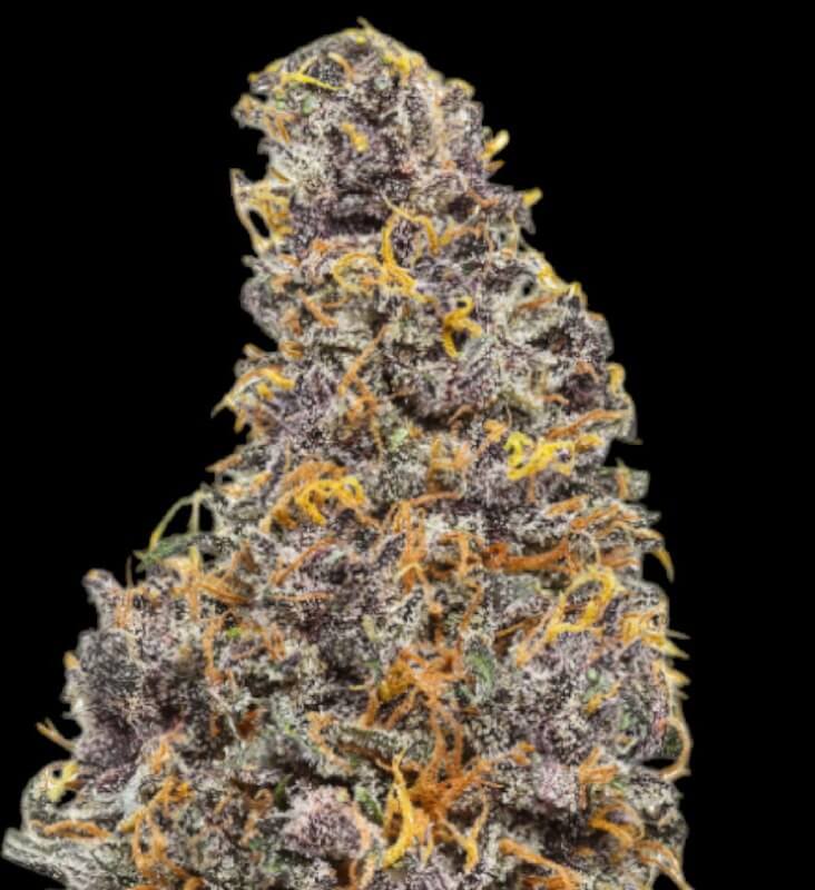 BLUE MERINGUE 17% CBD <0.2% THC Loose Hemp Tea - H Town Hemp