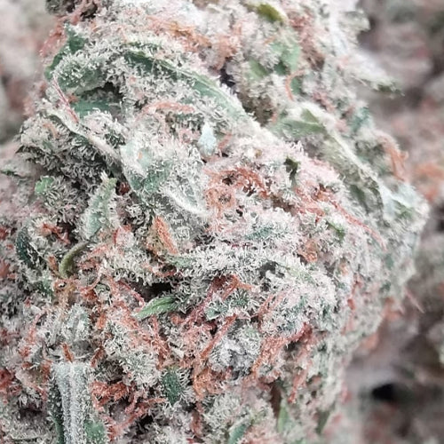 Cannatonic 7% CBD <0.2% THC Loose Hemp Tea (EOB) - H Town Hemp