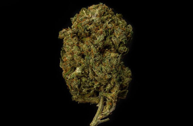 BubbleGum Kush 10% CBD <0.2% THC loose hemp tea (EOB) - H Town Hemp