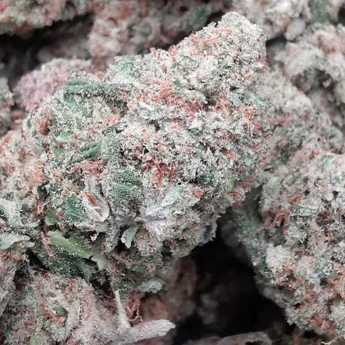 Cannatonic 7% CBD <0.2% THC Loose Hemp Tea (EOB) - H Town Hemp