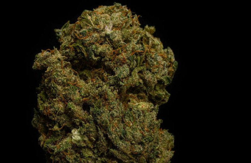 BubbleGum Kush 10% CBD <0.2% THC loose hemp tea (EOB) - H Town Hemp