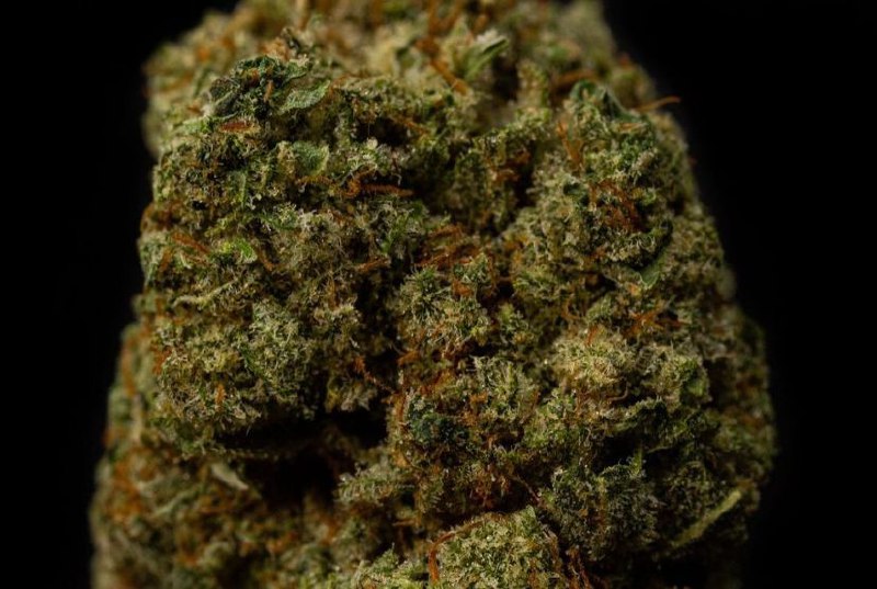 Stardawg 20% CBD <0.2% THC Loose Hemp Tea - H Town Hemp