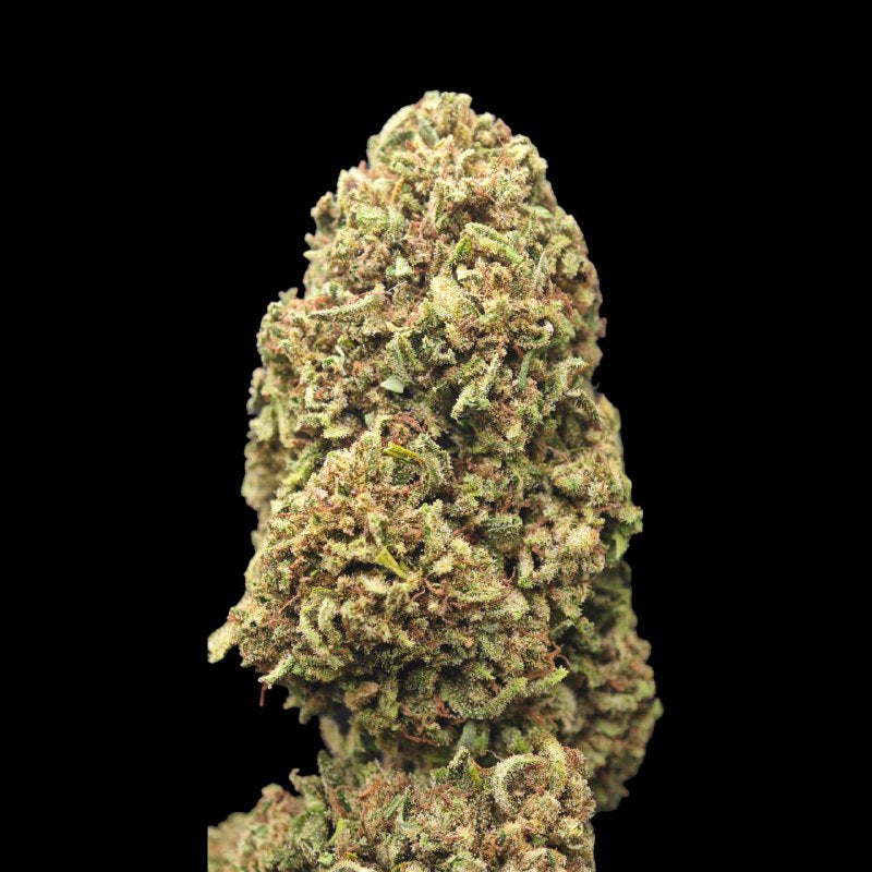 Sour Tangie 6% CBD <0.2% THC Loose Hemp Tea (EOB) - H Town Hemp