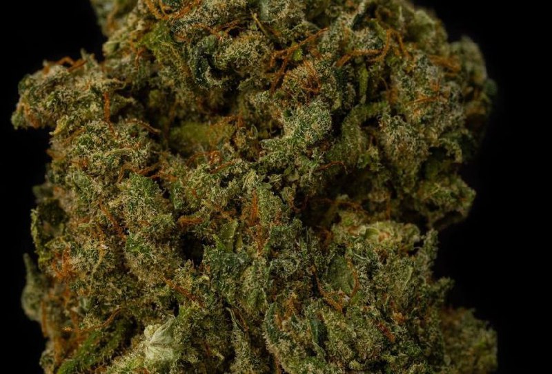 BubbleGum Kush 10% CBD <0.2% THC loose hemp tea (EOB) - H Town Hemp