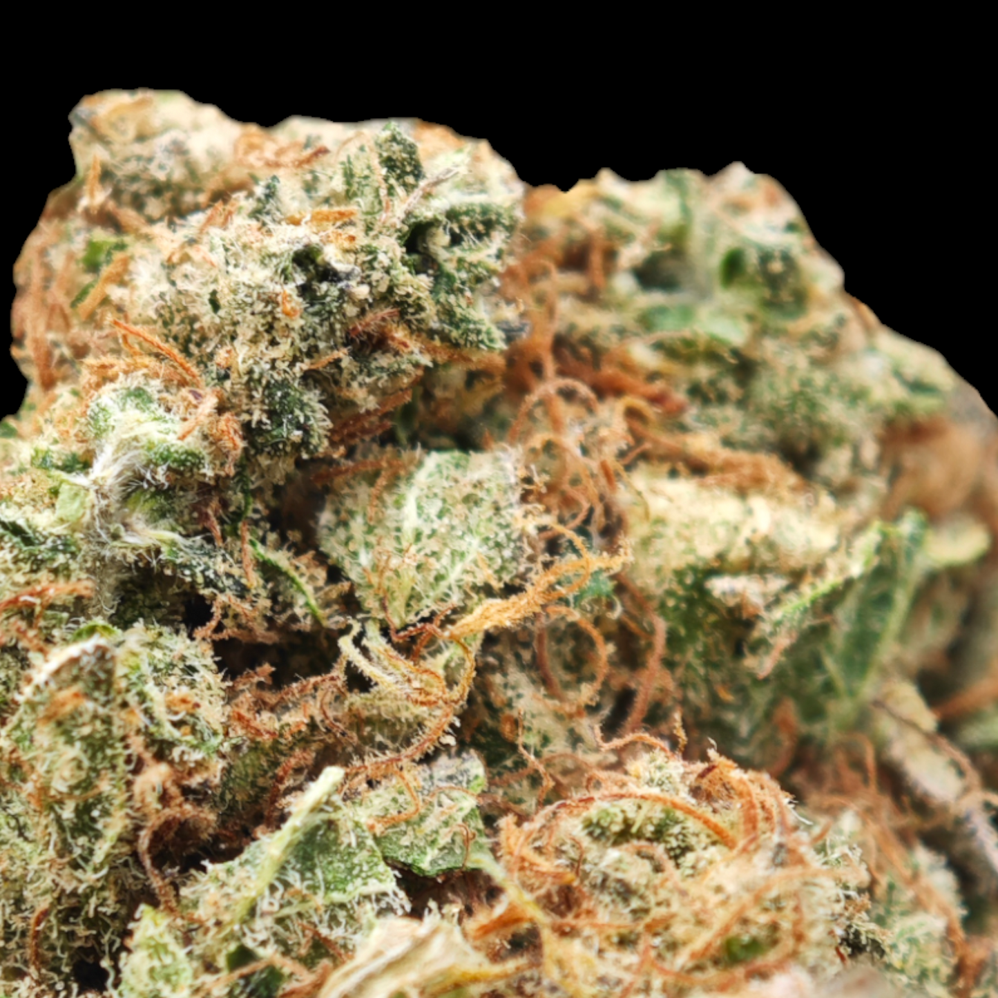 VELVET 19% CBD <0.2% THC Loose Hemp Tea - H Town Hemp