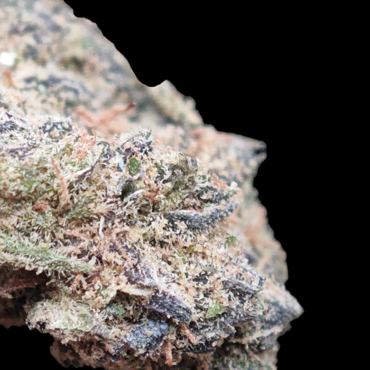Animal mintz 19% CBD <0.2 %THC Loose Hemp Tea - H Town Hemp