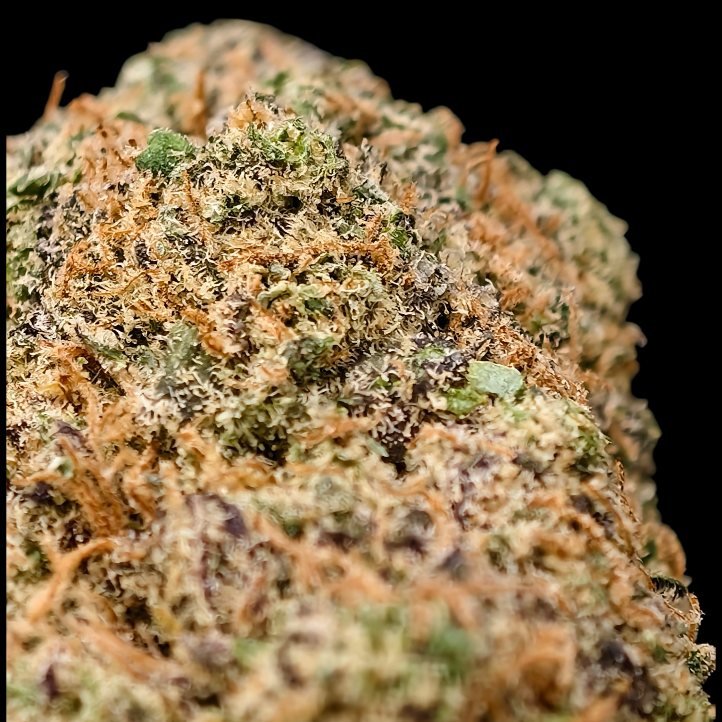 Tropical Zkittlez 14% CBD <0.2% THC Loose Hemp Tea