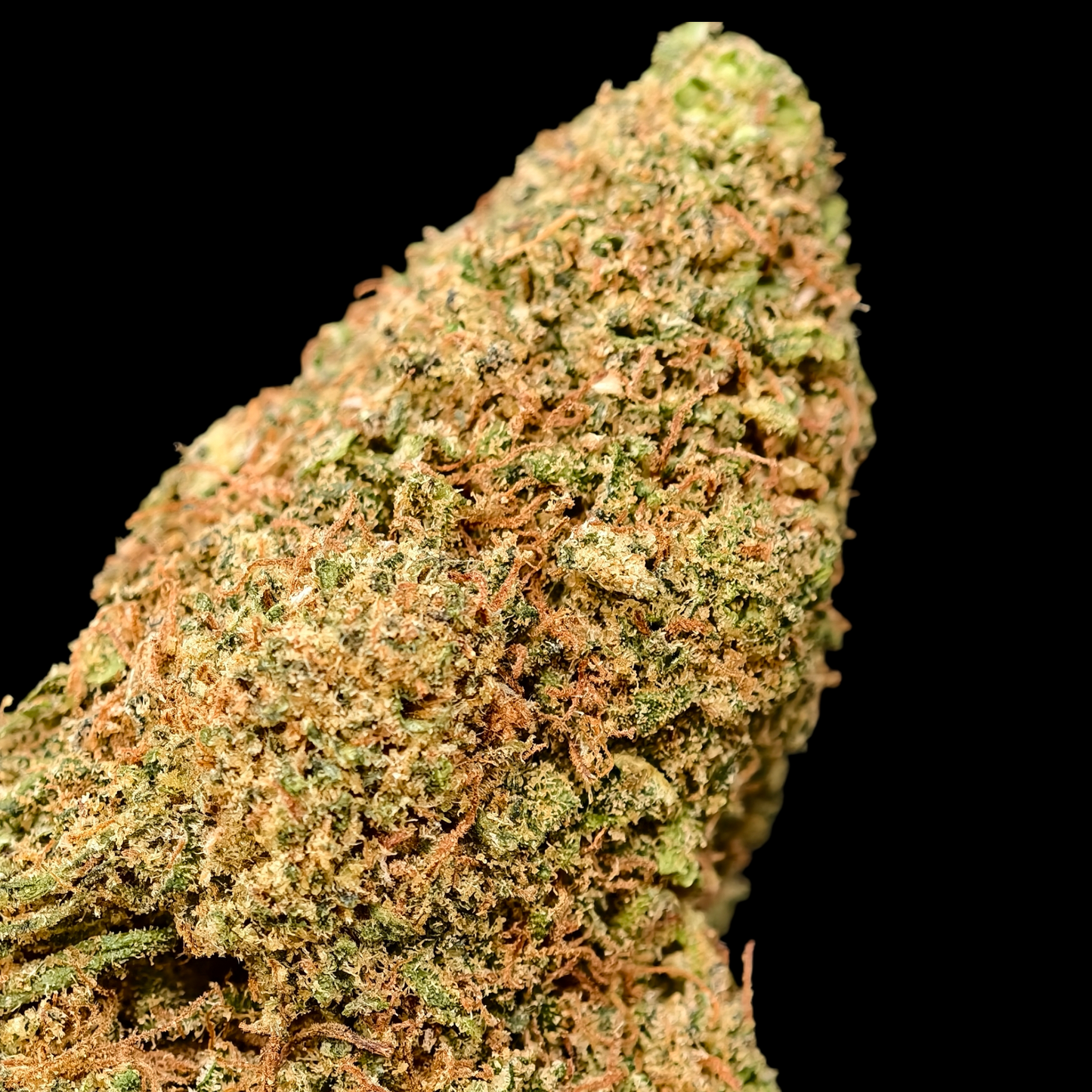 CREAM PUFF 8% CBD <0.2% THC Loose Hemp Tea