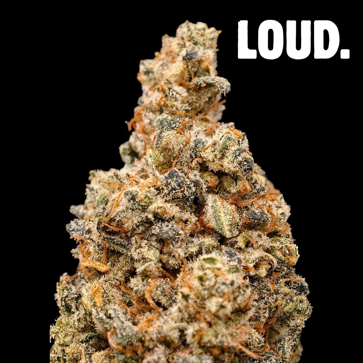 LEGENDARY 8% CBD <0.2% THC Loose Hemp Tea