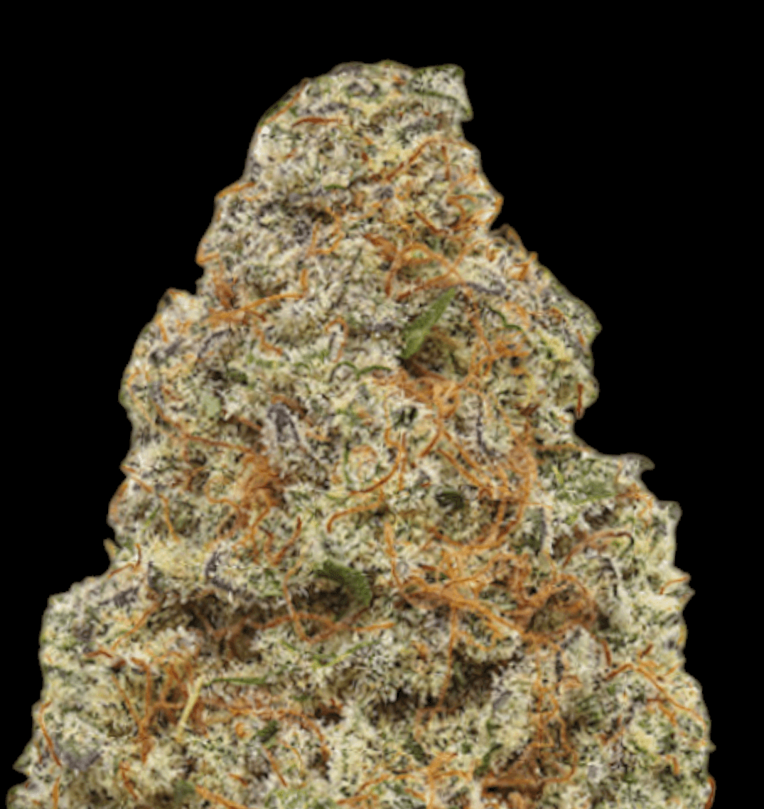 FABLED 22% CBD <0.2% THC Loose Hemp Tea - H Town Hemp