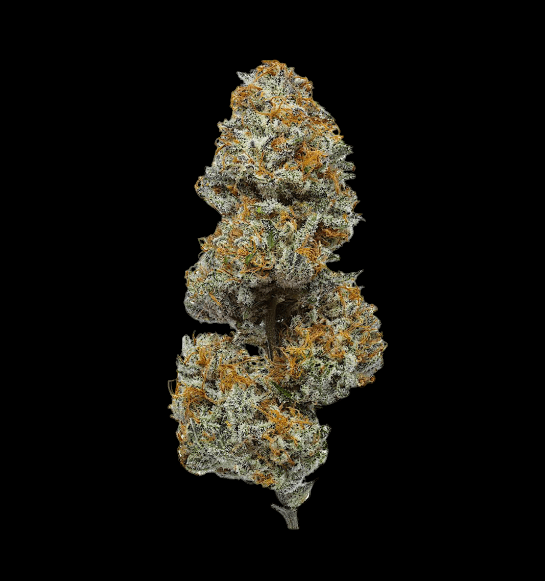 PARADISE OG 17% CBD <0.2% THC Loose Hemp Tea - H Town Hemp