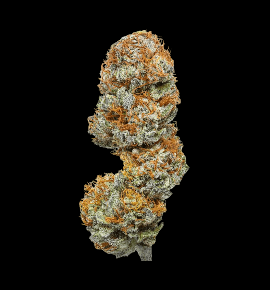 ORANGE GLAZE 17% CBD <0.2% THC Loose Hemp Tea - H Town Hemp