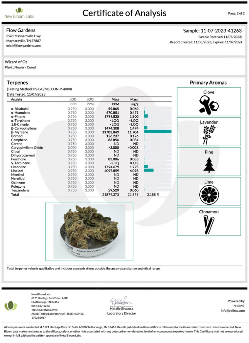 WIZARD OF OZ 14% CBD