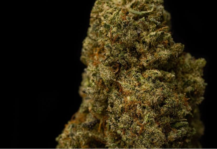 Bruce Banner 12% CBD <0.2% THC loose hemp tea