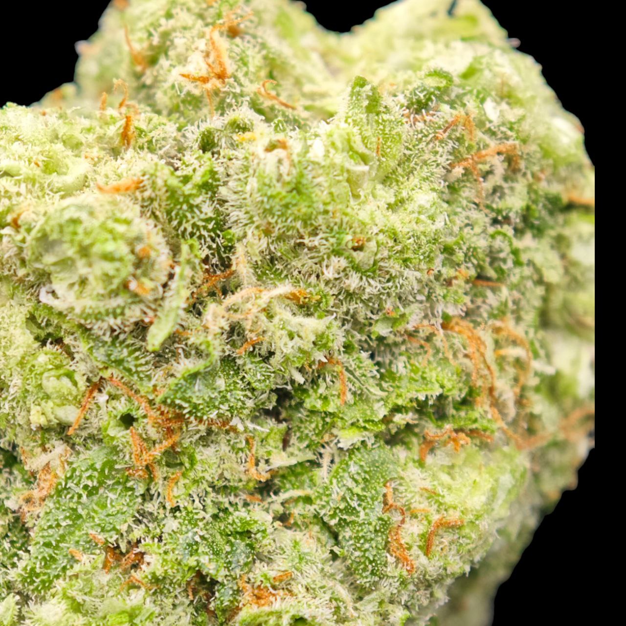 Cali Dream 19% CBD <0.2%THC Loose Hemp Tea - H Town Hemp