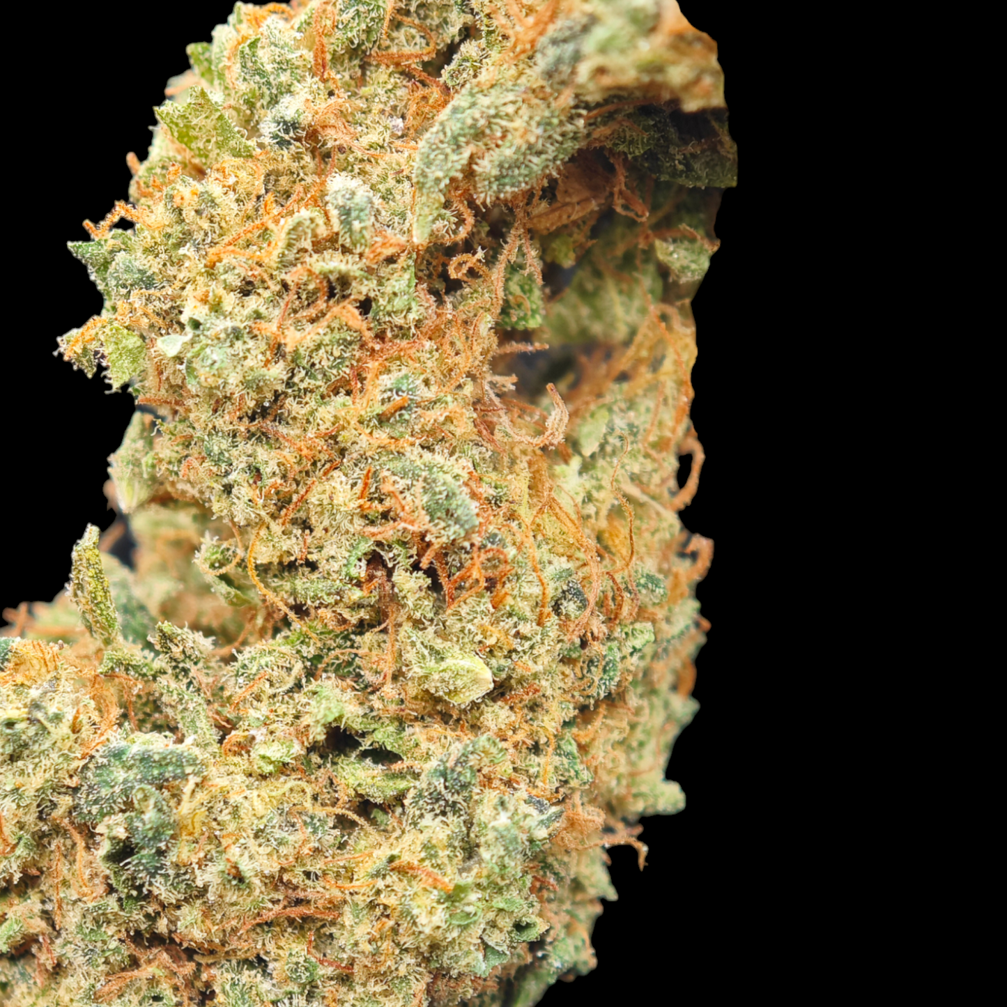 Blueberry Muffin 7% CBD <0.2% THC Loose Hemp Tea - H Town Hemp