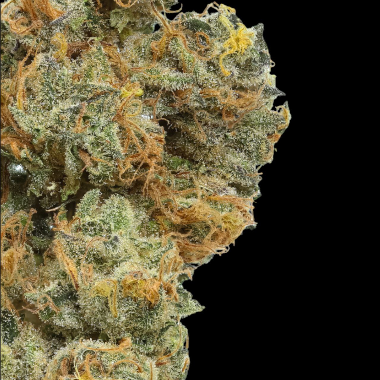 Apple sauce 19% CBD <0.2% THC Loose Hemp Tea