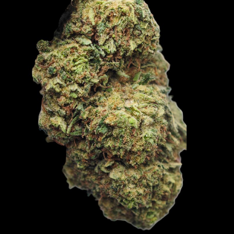 NLX 18% CBD <0.2% THC Loose Hemp Tea - H Town Hemp