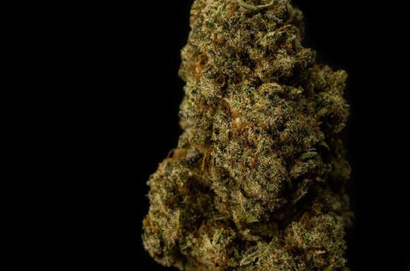 OG Kush 18% CBD <0.2%THC Loose Hemp Tea - H Town Hemp