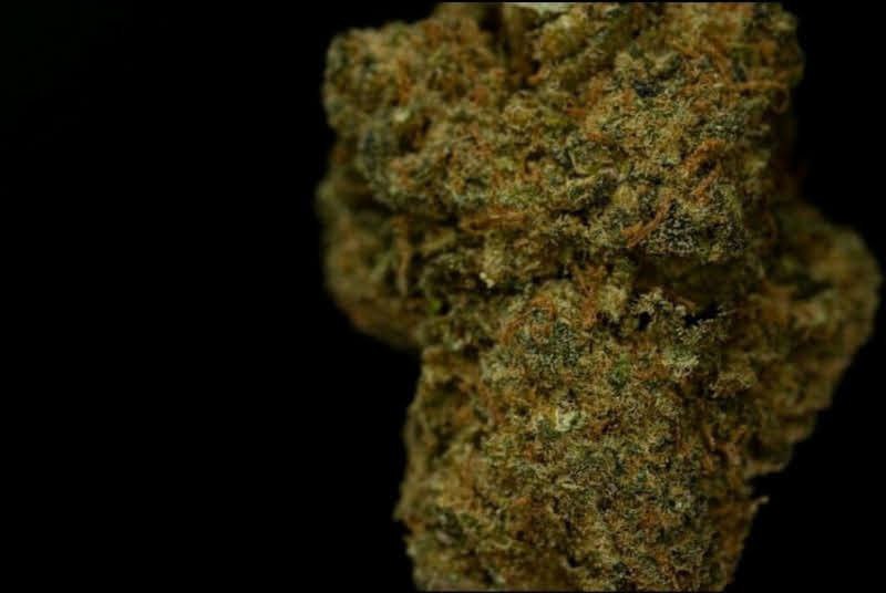 Cookie Kush 13.9% CBD <0.2%THC loose hemp tea - H Town Hemp