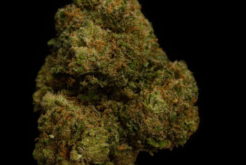 Amnesia 14% CBD <0.2% THC Loose Hemp Tea - H Town Hemp