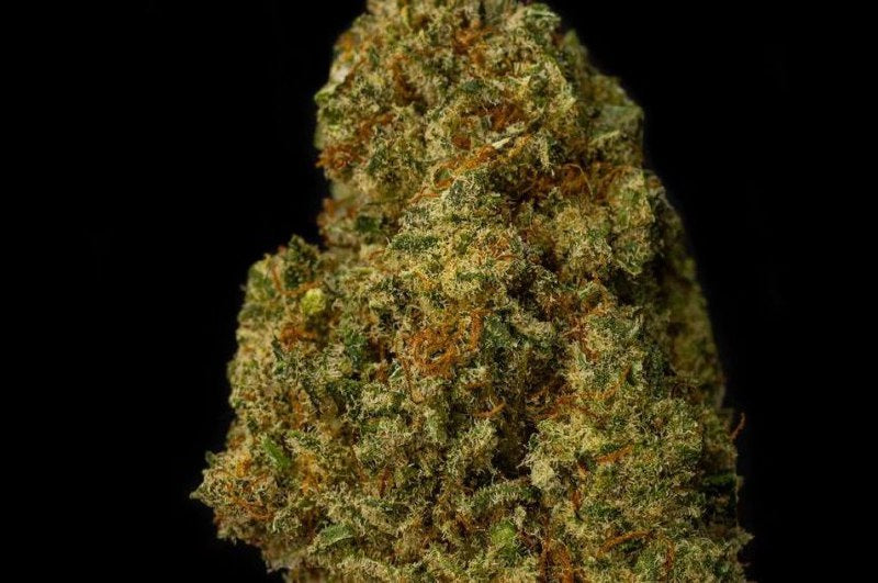 Super Lemon Haze 18% CBD <0.2%THC Loose Hemp Tea - H Town Hemp