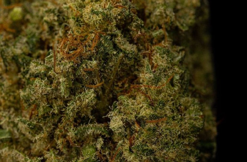 Super Lemon Haze 18% CBD <0.2%THC Loose Hemp Tea - H Town Hemp