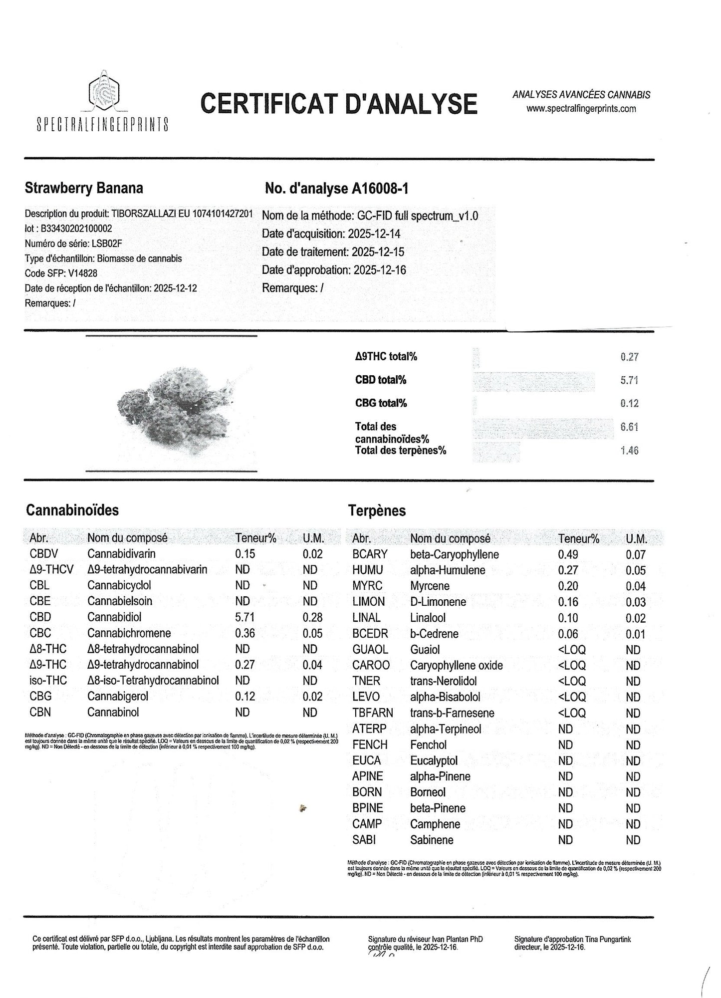 STRAWBERRY BANANA 5% CBD <0.2% THC Loose Hemp Tea