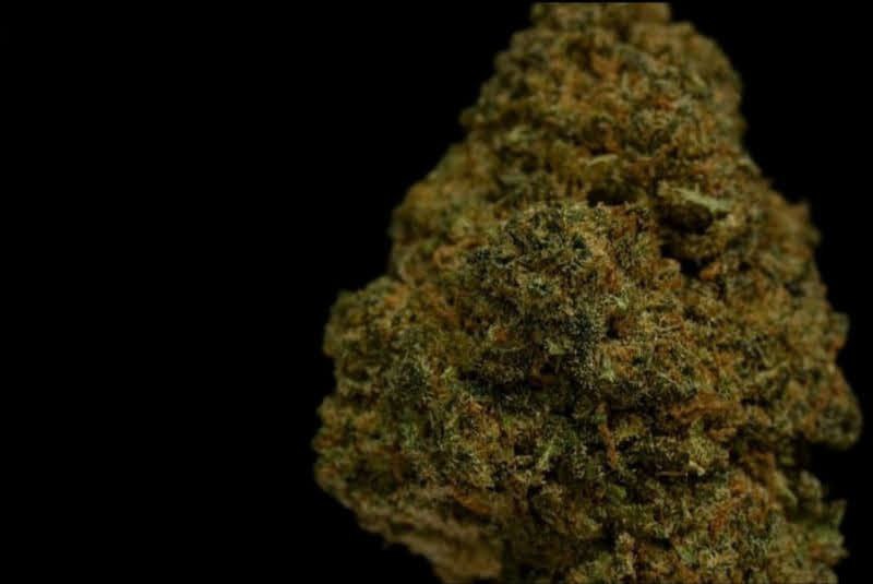 Cookie Kush 13.9% CBD <0.2%THC loose hemp tea - H Town Hemp