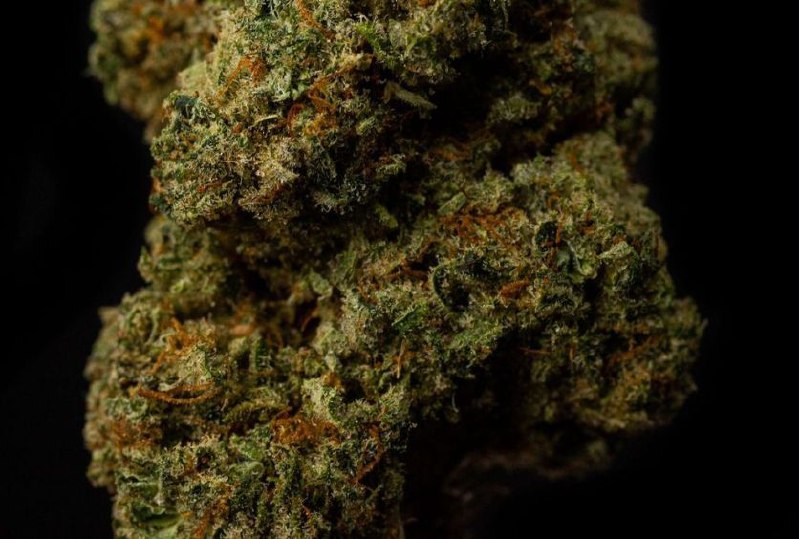 Stardawg 20% CBD <0.2% THC Loose Hemp Tea - H Town Hemp