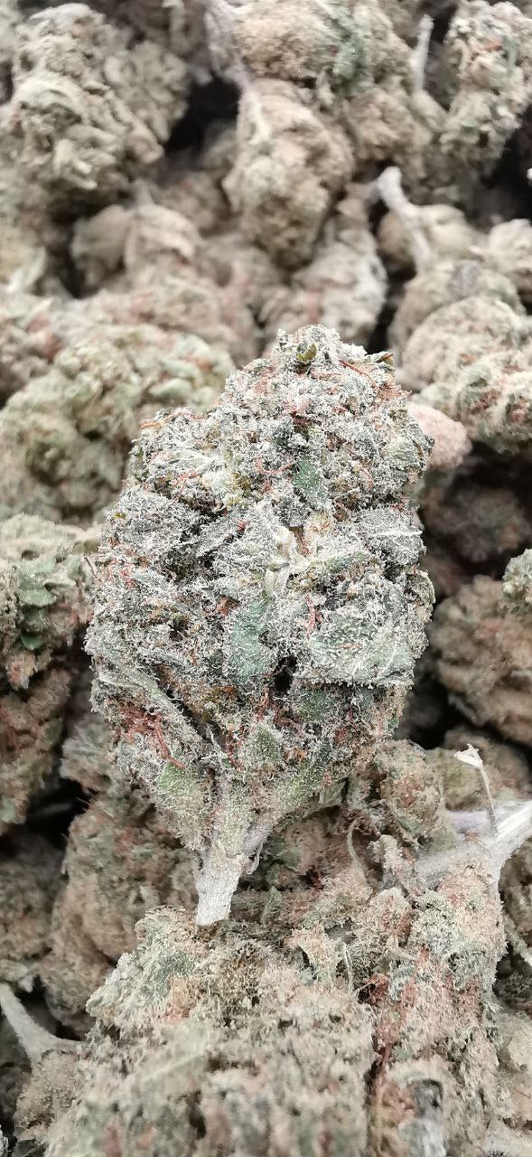 Wedding Cake 4% CBD <0.2 %THC Loose hemp tea (ITALIAN GROWN) - H Town Hemp