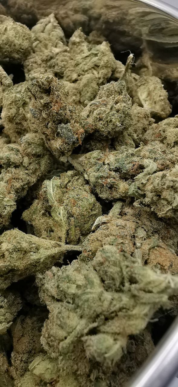 Wedding Cake 4% CBD <0.2 %THC Loose hemp tea (ITALIAN GROWN) - H Town Hemp