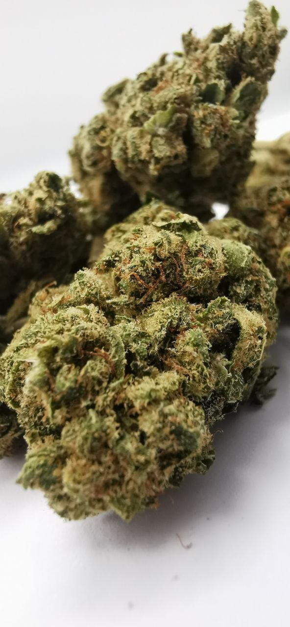 Wedding Cake 4% CBD <0.2 %THC Loose hemp tea (ITALIAN GROWN) - H Town Hemp