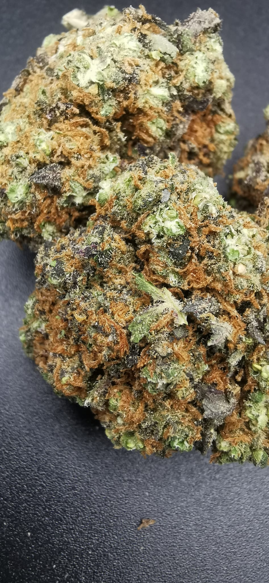 Purple Punch 7% CBD <0.2% THC hemp tea (EOB) - H Town Hemp