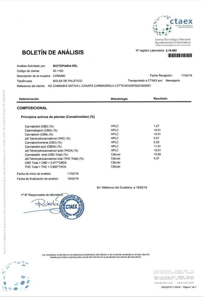 Acapulco Gold (Mexican sativa) 10% CBD  <0.2% THC hemp tea (EOB) - H Town Hemp