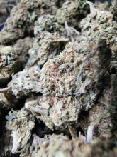 BZ1 (GREENHOUSE) Loose tea 10%CBD <0.2%THC (EOB) - H Town Hemp