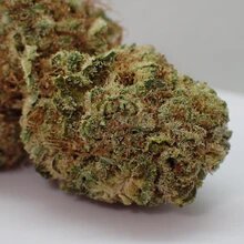 Therapy 10% CBD <0.2% THC Loose hemp tea - H Town Hemp