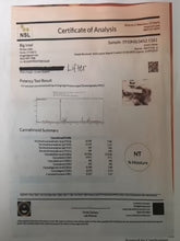 Ground Hemp Tea Tubes Lifter 9% CBD <0.2%THC - H Town Hemp