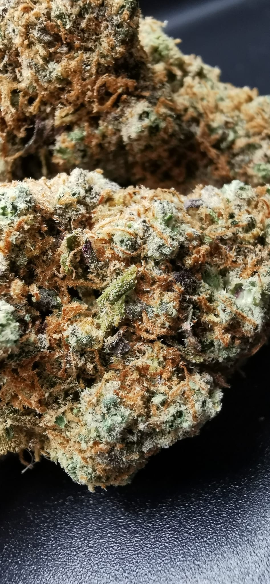 Orangeade 15% CBD <0.2% THC hemp tea - H Town Hemp