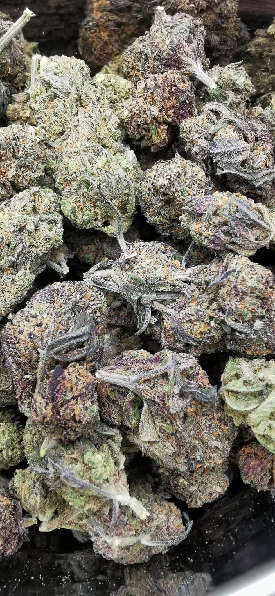 Grand Daddy Purple 10% CBD <0.2% THC hemp tea - H Town Hemp