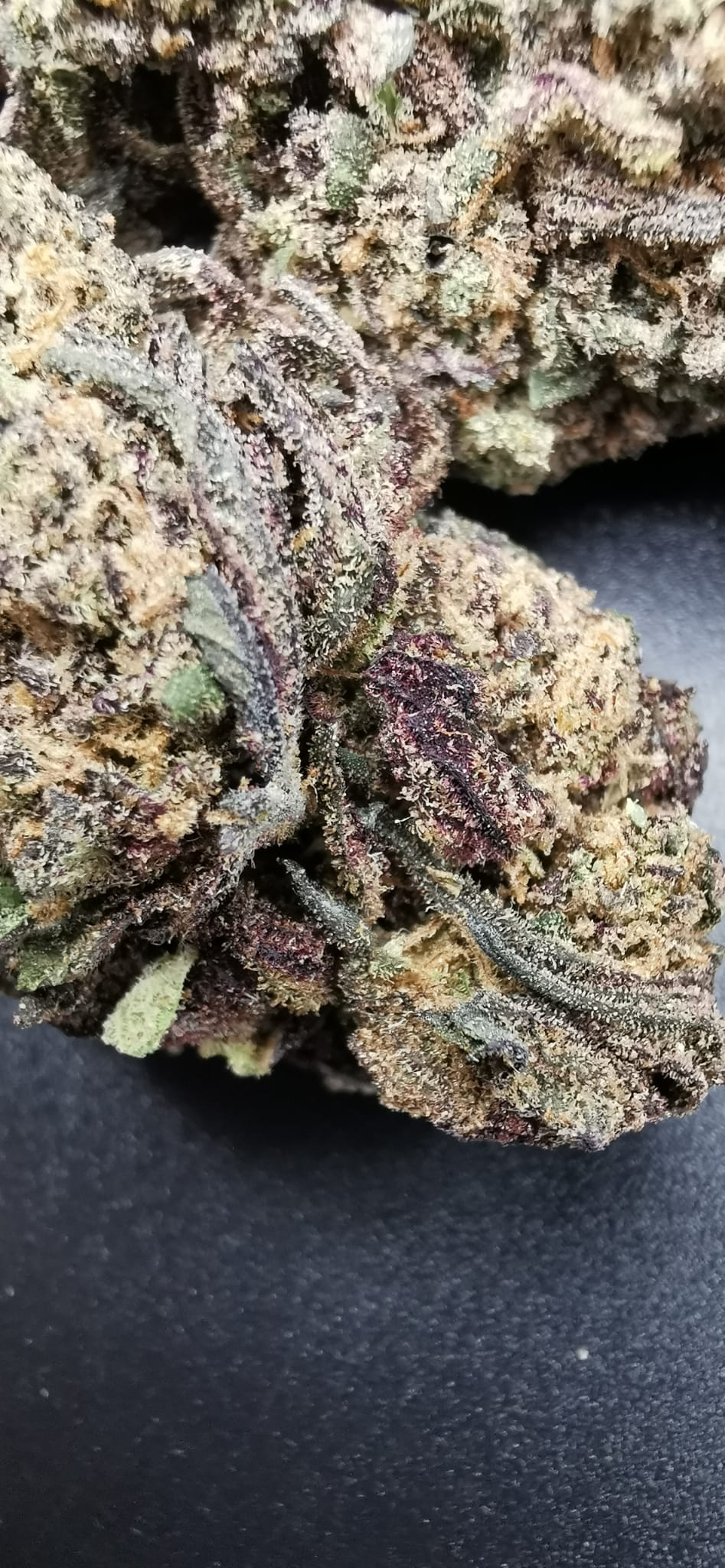 Grand Daddy Purple 10% CBD <0.2% THC hemp tea - H Town Hemp