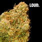SOUR BLUEBERRY KUSH 8% CBD <0.2% THC Loose Hemp Tea